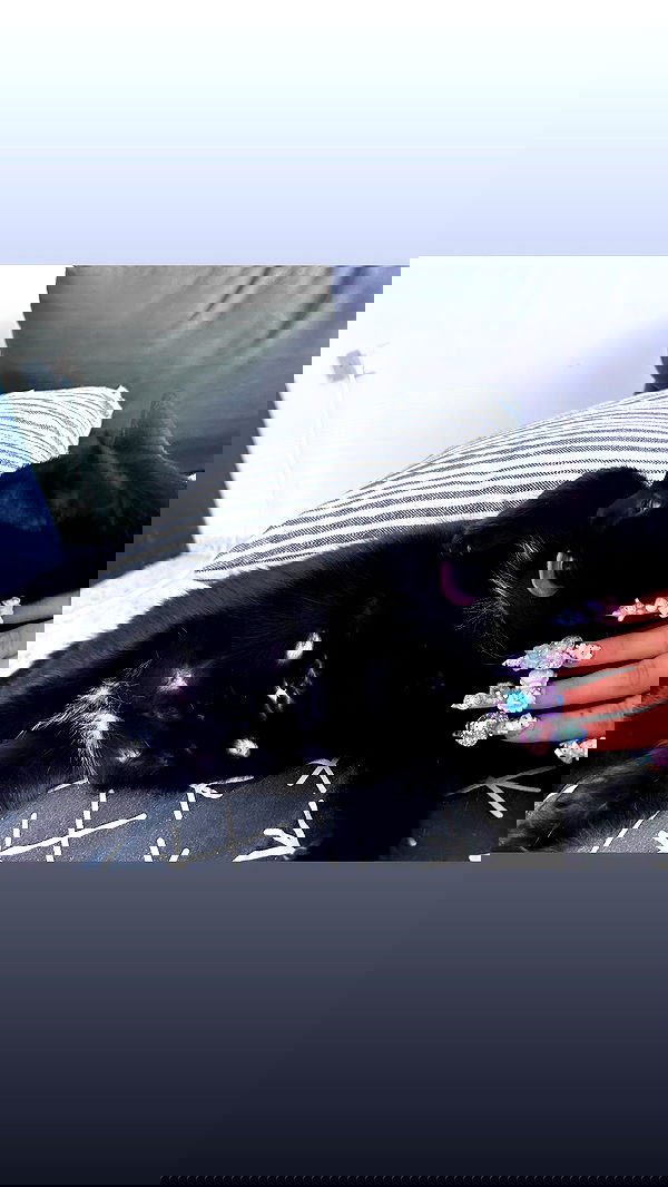 hellokittyangel666 hellokittyangel666 archive image