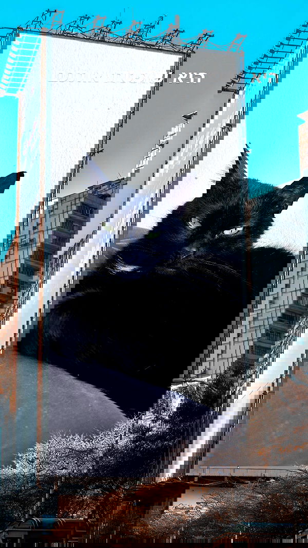 hellokittyangel666 hellokittyangel666 archive image