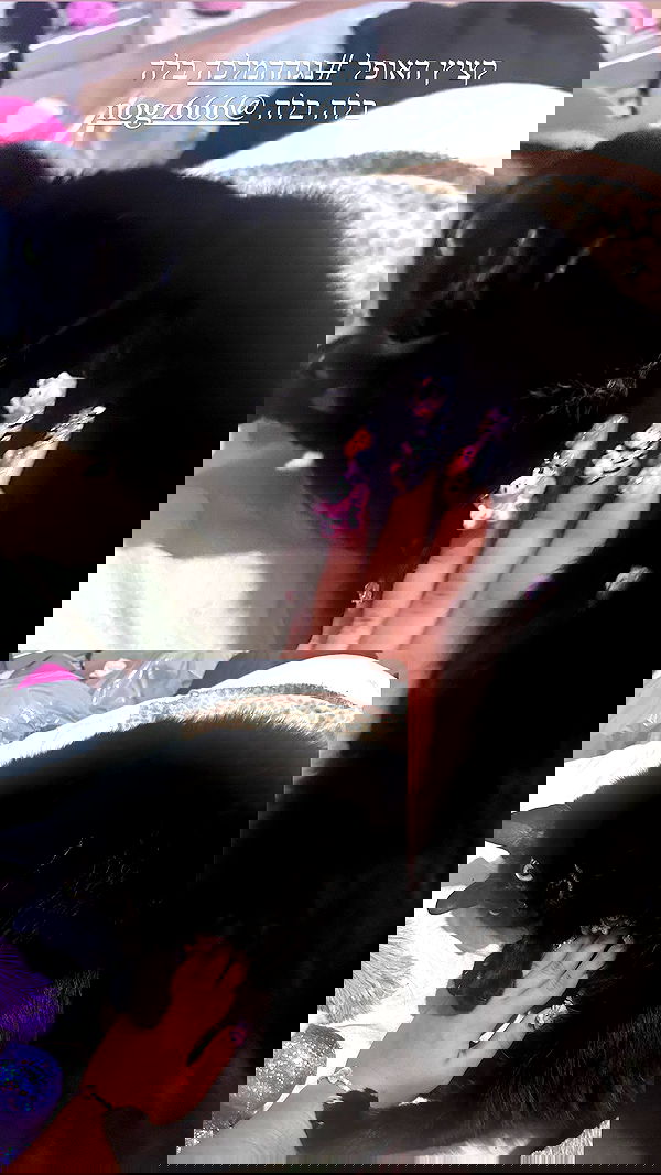 hellokittyangel666 hellokittyangel666 archive image