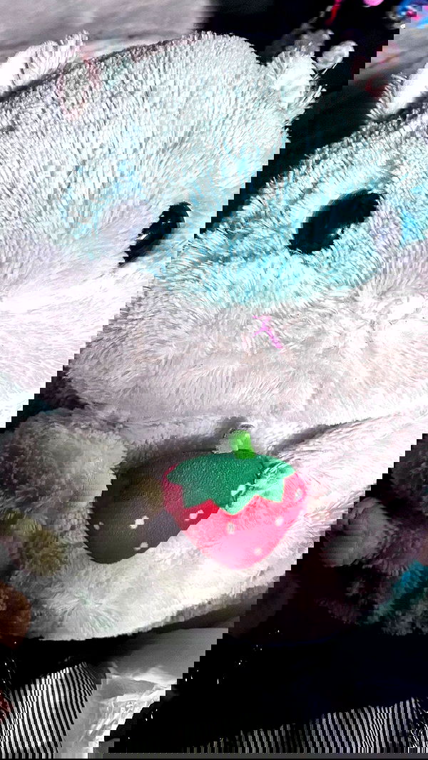 hellokittyangel666 hellokittyangel666 archive image