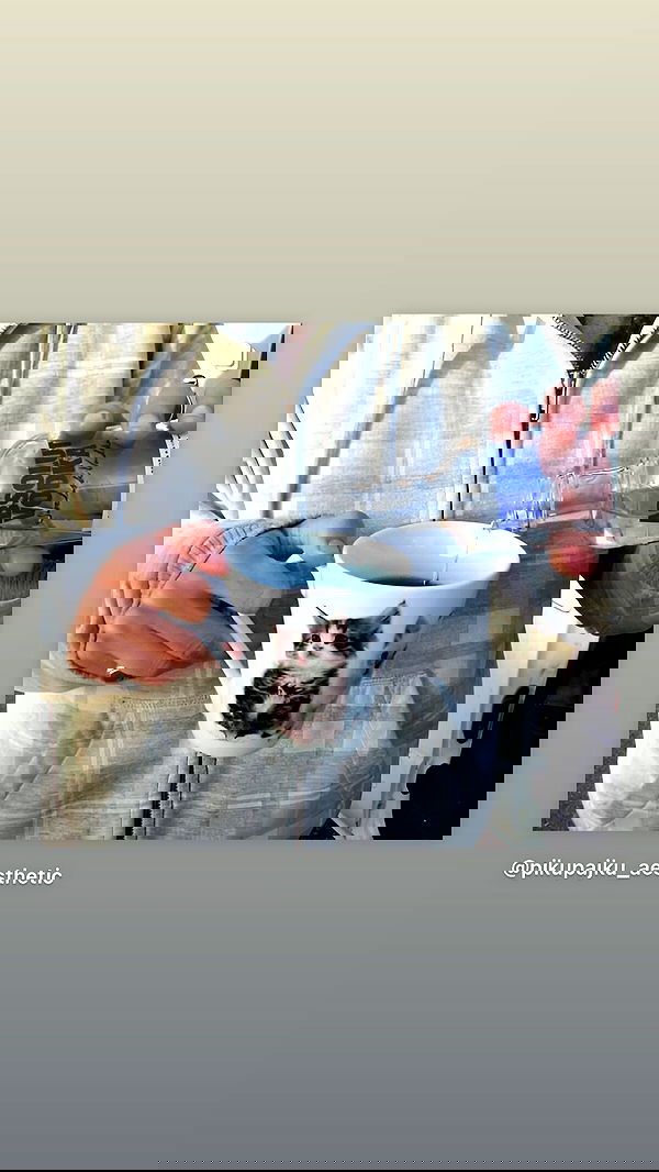 hellokittyangel666 hellokittyangel666 archive image