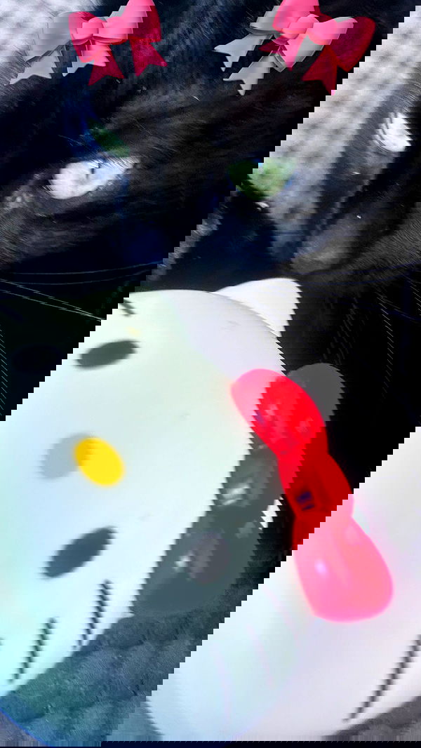 hellokittyangel666 hellokittyangel666 archive image