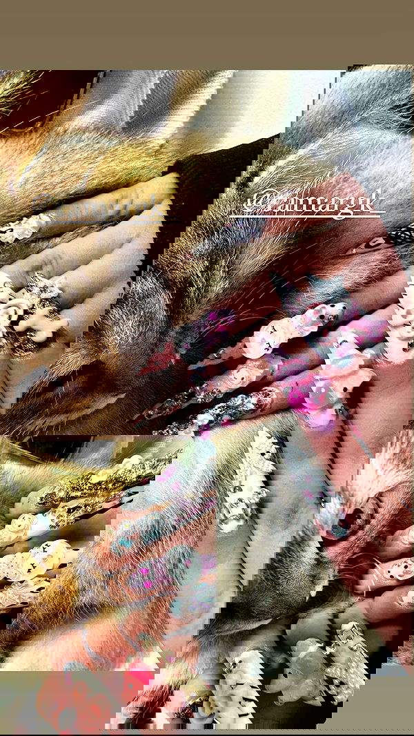 hellokittyangel666 hellokittyangel666 archive image