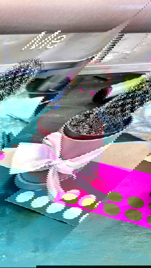 hellokittyangel666 hellokittyangel666 archive image