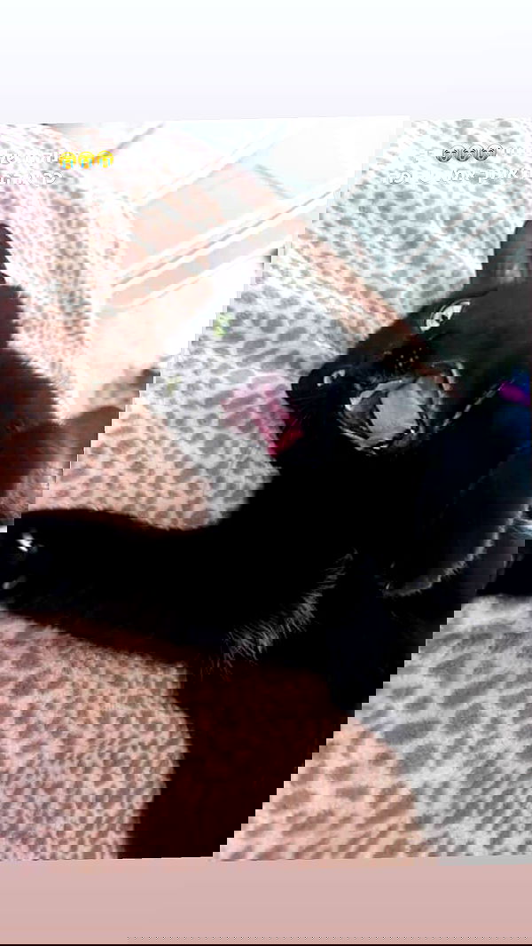 hellokittyangel666 hellokittyangel666 archive image