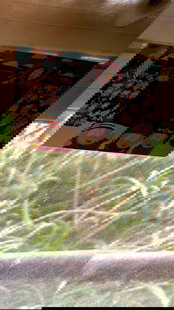 hellokittyangel666 hellokittyangel666 archive image