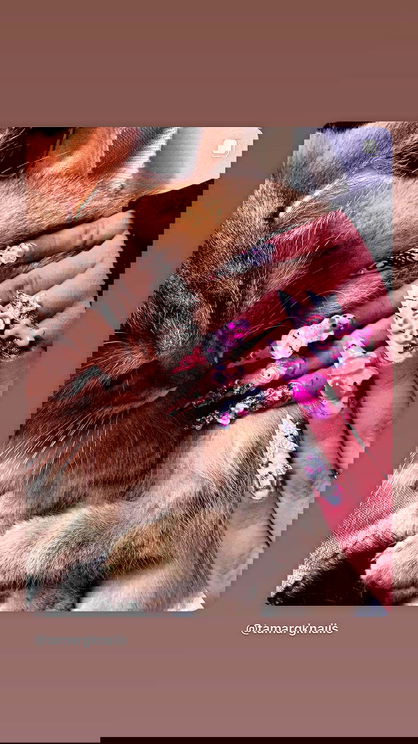 hellokittyangel666 hellokittyangel666 archive image