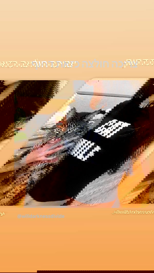 hellokittyangel666 hellokittyangel666 archive image