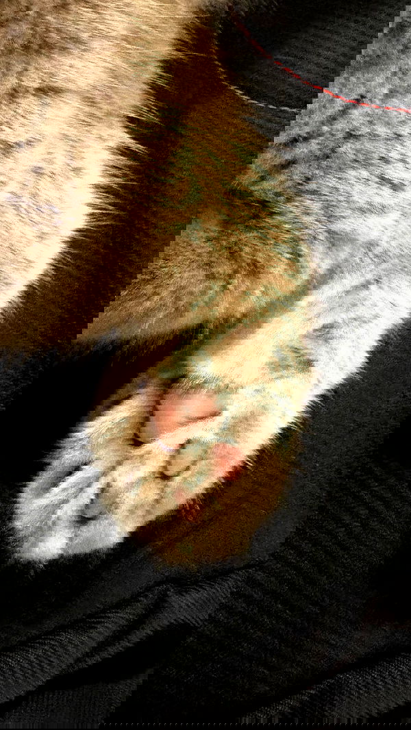 hellokittyangel666 hellokittyangel666 archive image