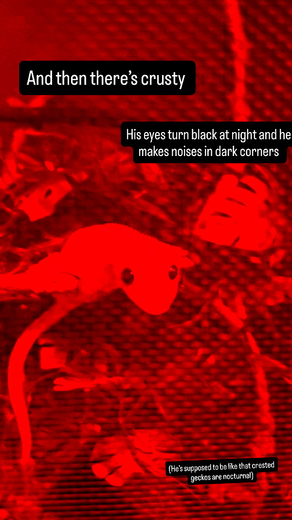 hey_itsjulia766 hey_itsjulia766 archive image