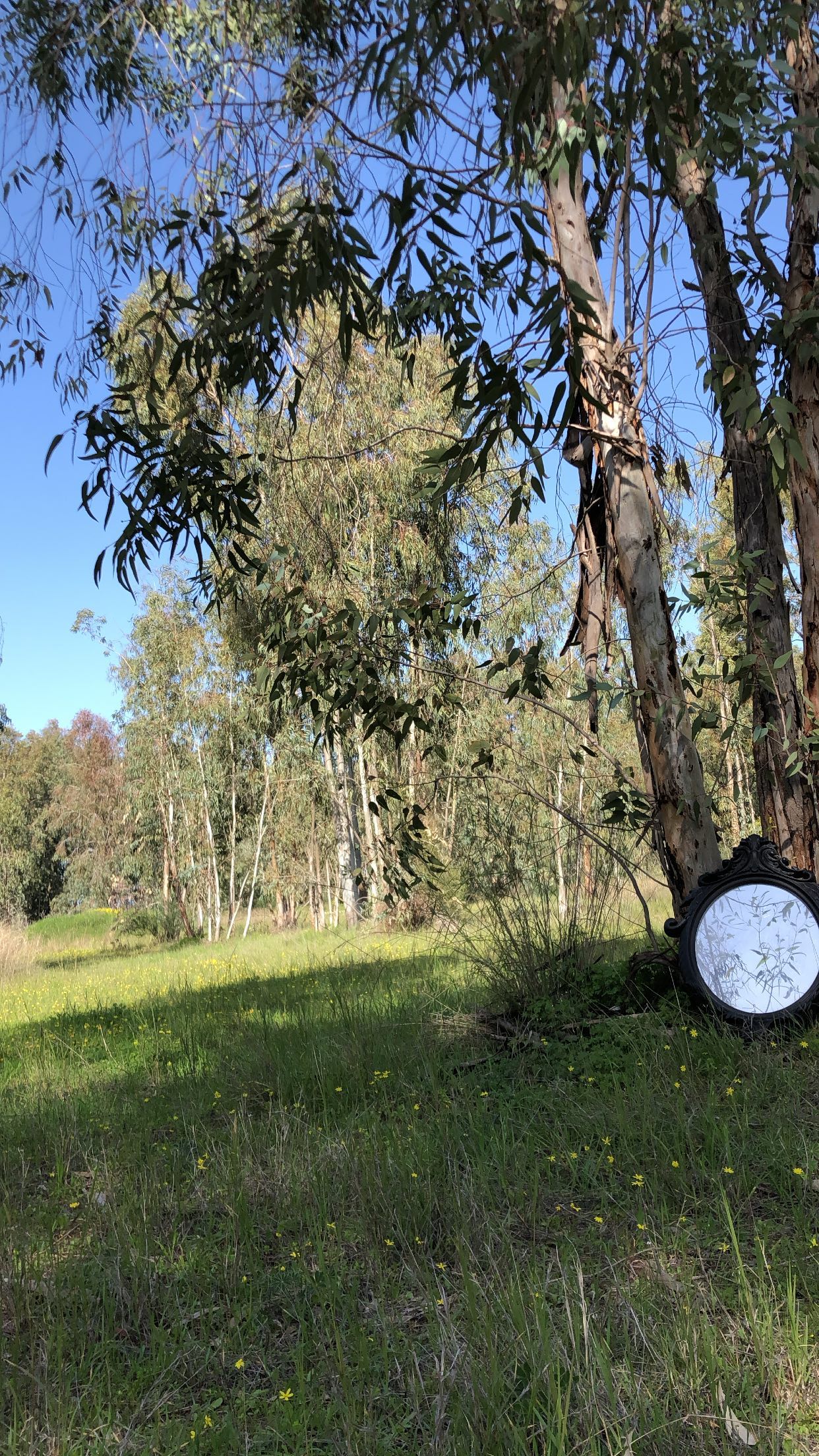 hilaxkitty instagram image archive image