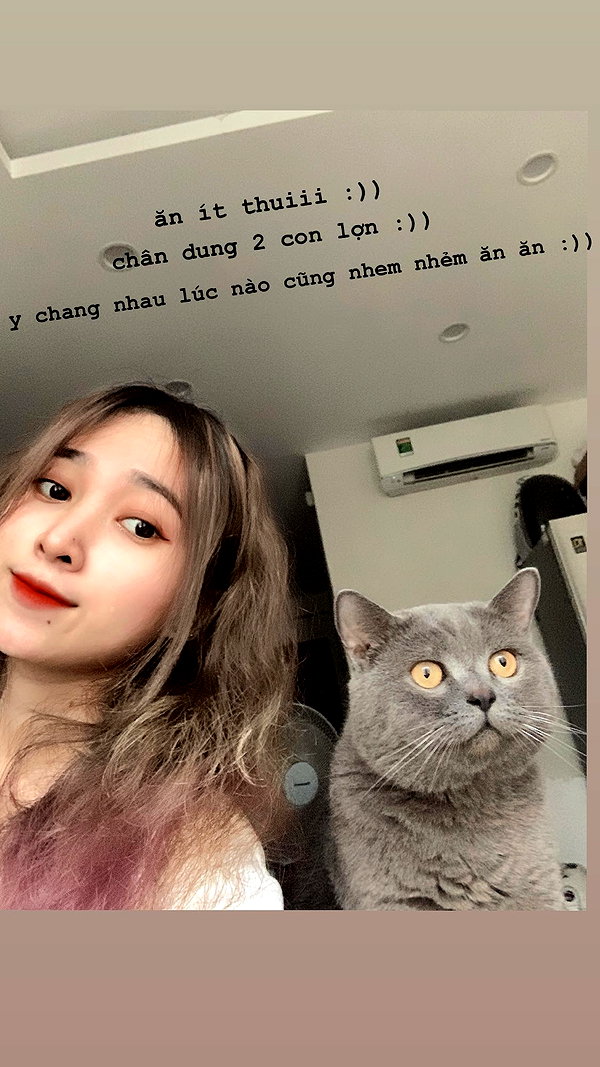 hoangthi.tuyetmai.18 instagram image archive image