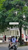 hoangthi.tuyetmai.18 Altpins Profile Picture