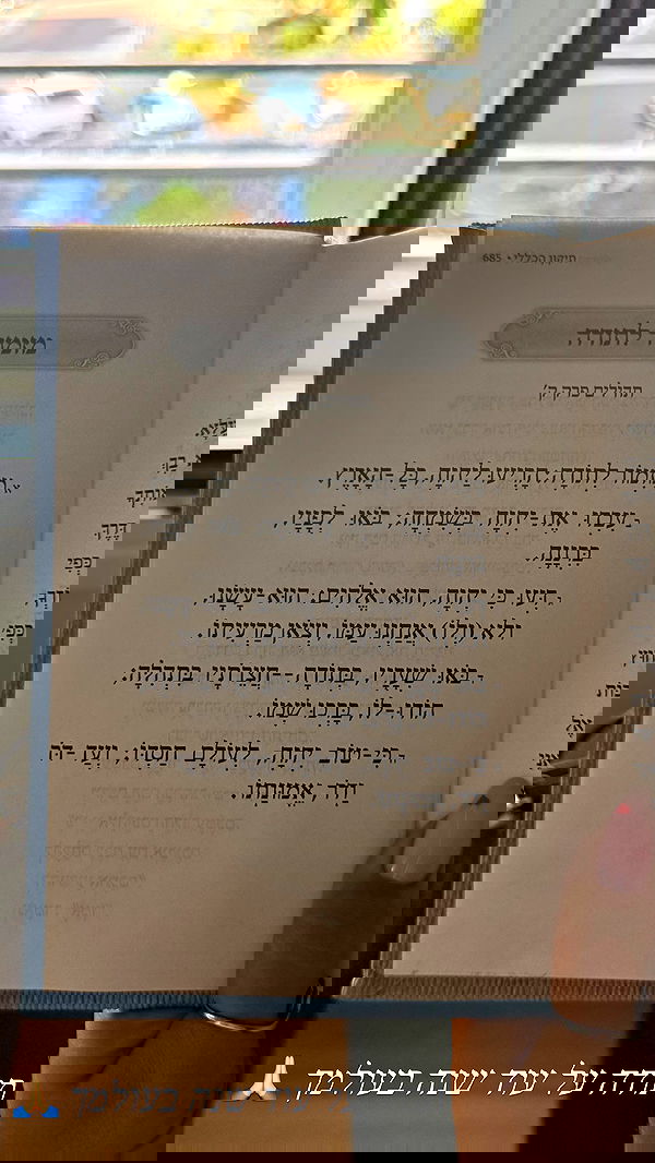 holllly.molly holllly.molly archive image