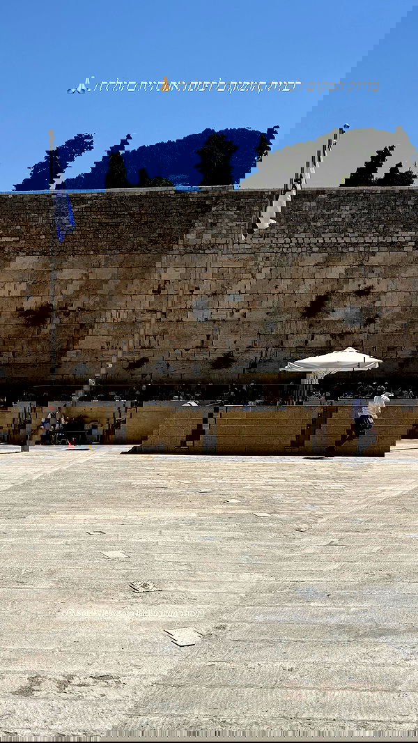 holllly.molly holllly.molly archive image