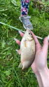 howeversnowy Altpins Profile Picture