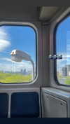 howeversnowy Altpins Profile Picture