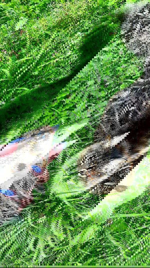 howeversnowy howeversnowy archive image