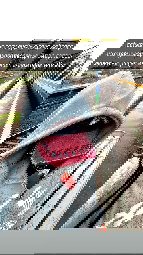 howeversnowy howeversnowy archive image