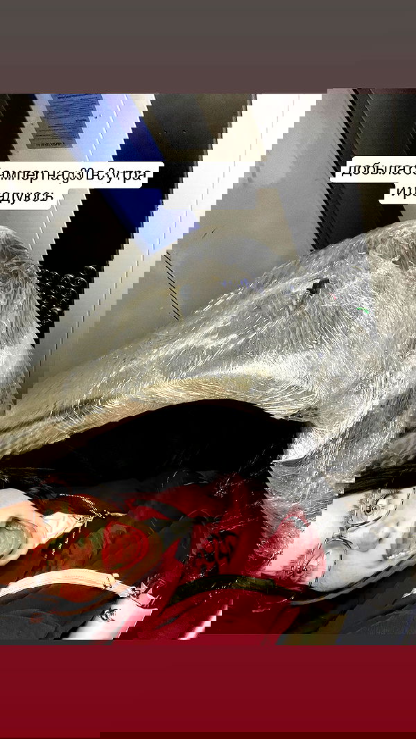 howeversnowy howeversnowy archive image