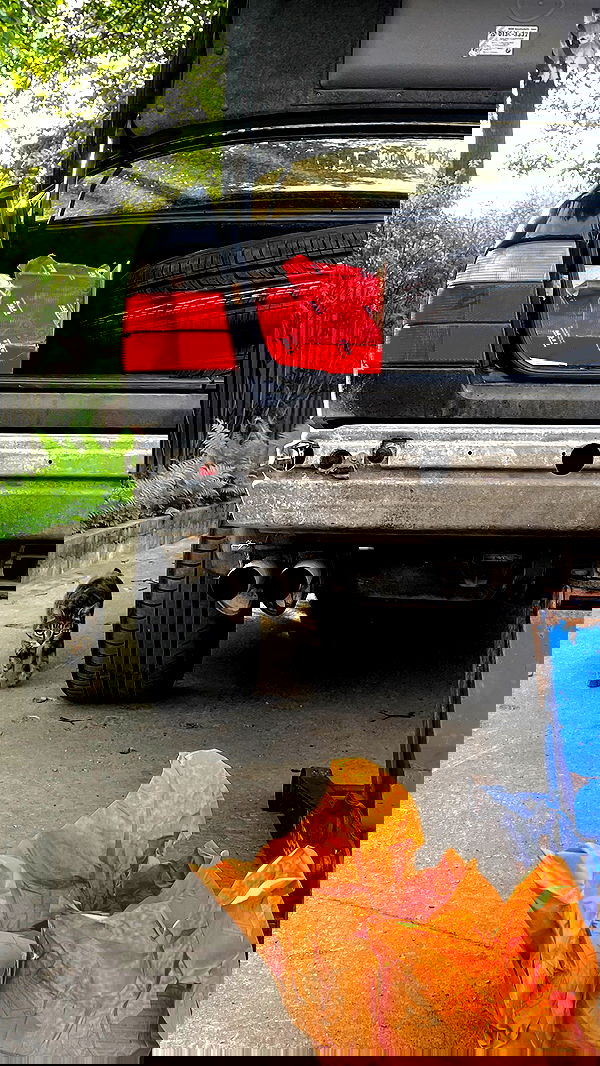 howeversnowy howeversnowy archive image