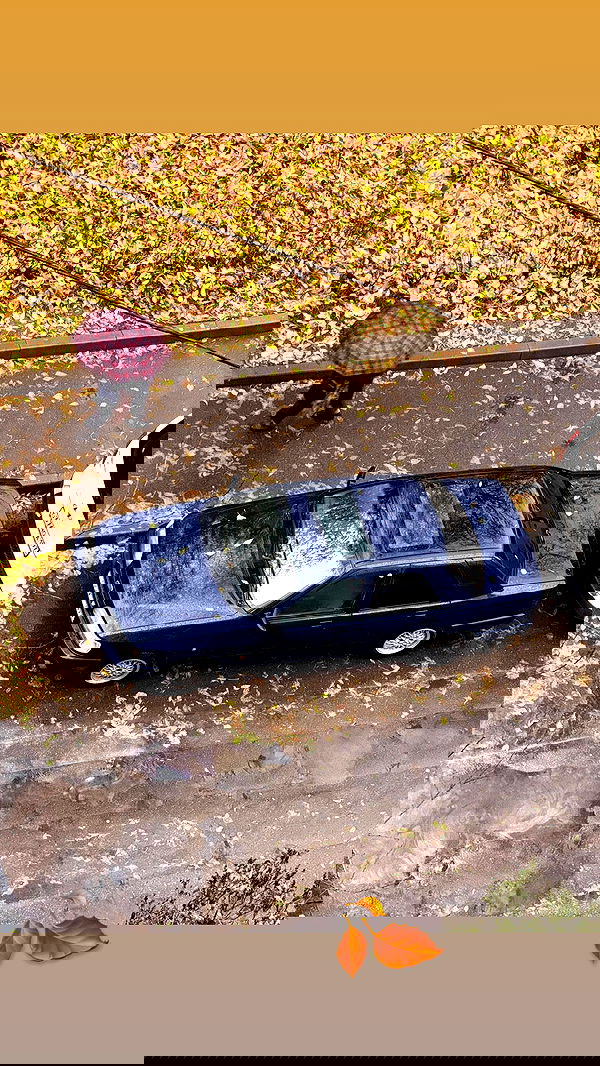 howeversnowy howeversnowy archive image