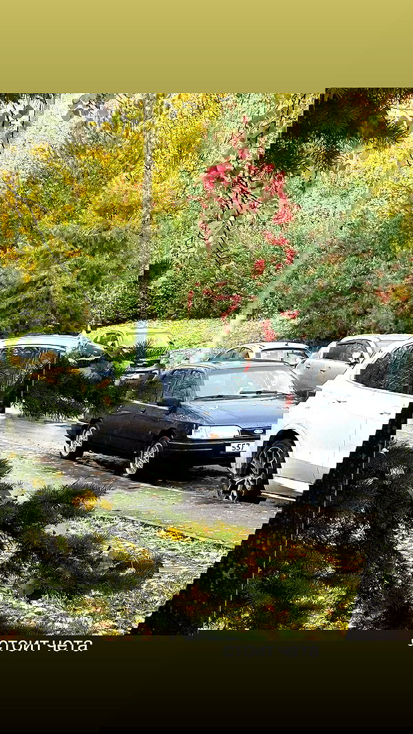 howeversnowy howeversnowy archive image