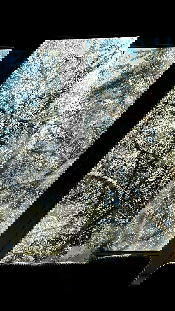 howeversnowy howeversnowy archive image