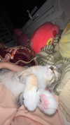 hwriyu Altpins Profile Picture
