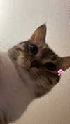 hwriyu Altpins Profile Picture