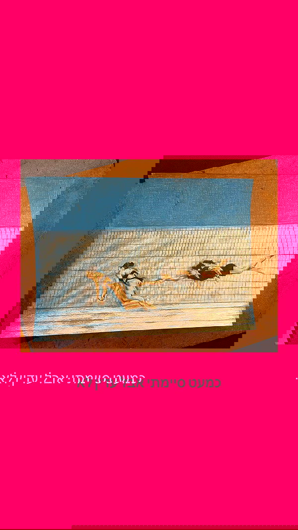 iambohema.v2 iambohema.v2 archive image