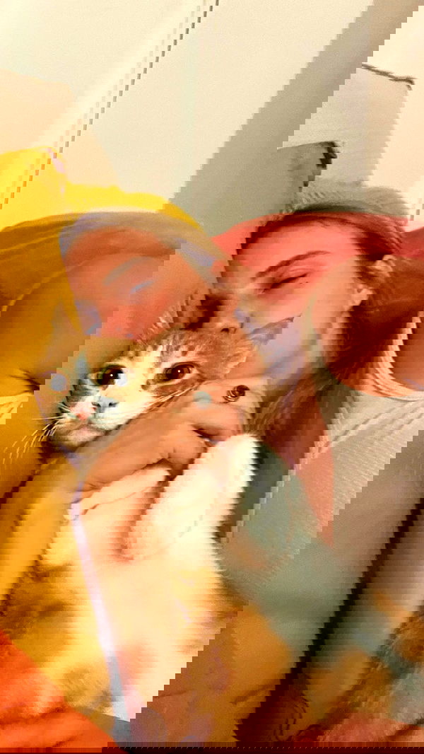 iambohema.v2 iambohema.v2 archive image