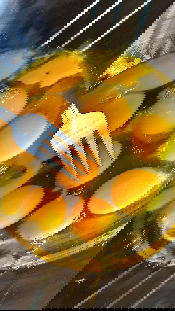 iambohema.v2 iambohema.v2 archive image