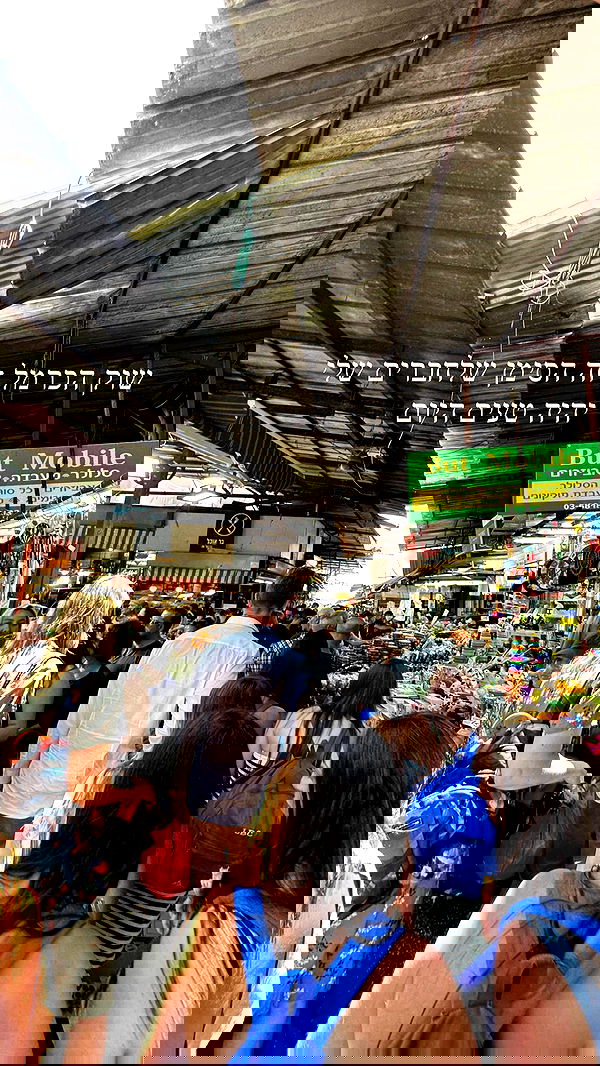 iambohema.v2 iambohema.v2 archive image