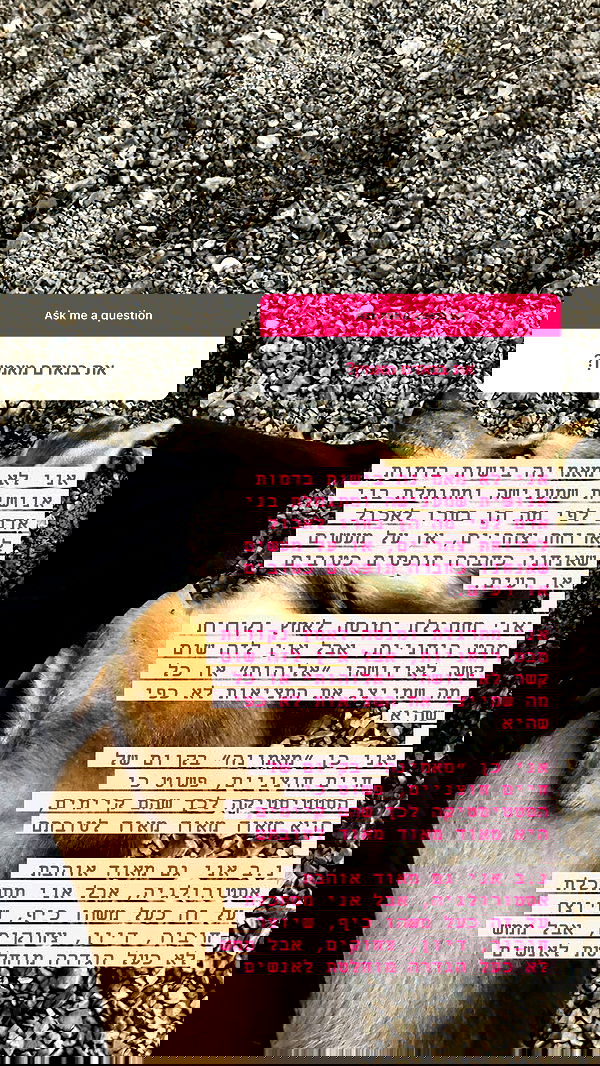 iambohema.v2 iambohema.v2 archive image