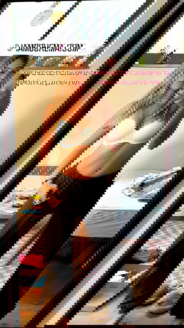 iambohema.v2 iambohema.v2 archive image