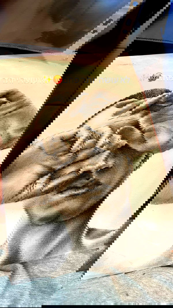 iambohema.v2 iambohema.v2 archive image