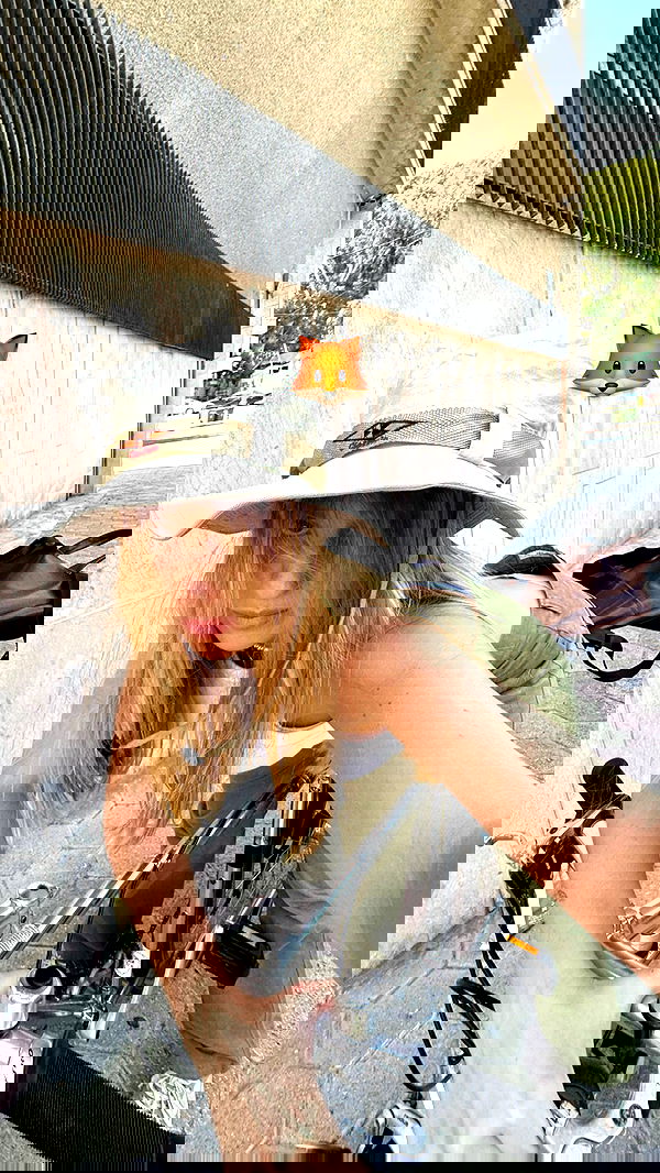 iambohema.v2 iambohema.v2 archive image