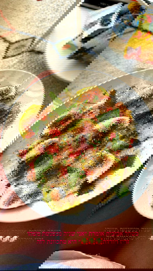 iambohema.v2 iambohema.v2 archive image