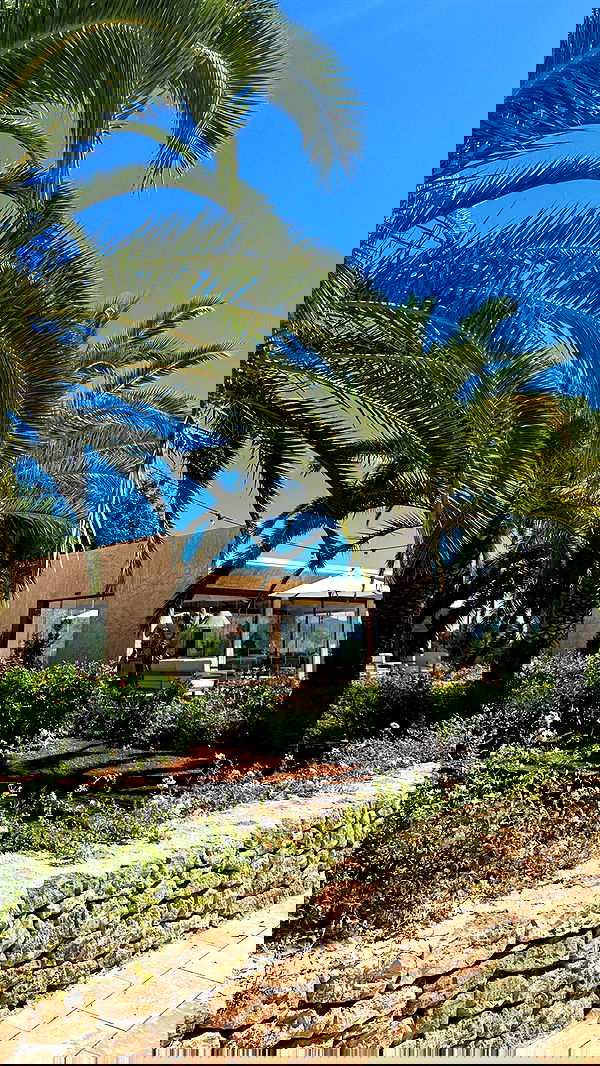 iambohema.v2 iambohema.v2 archive image