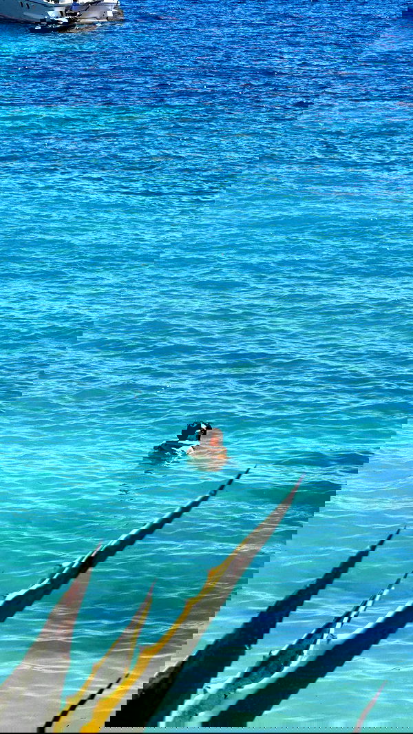 iambohema.v2 iambohema.v2 archive image