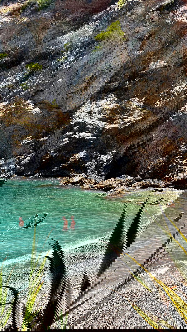 iambohema.v2 iambohema.v2 archive image