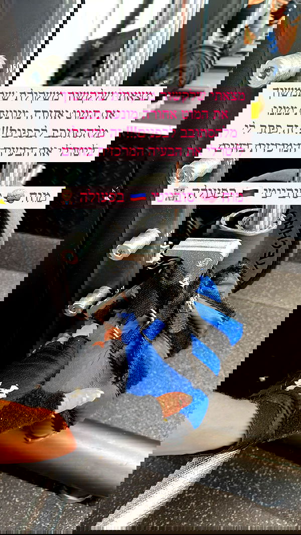 iambohema.v2 iambohema.v2 archive image