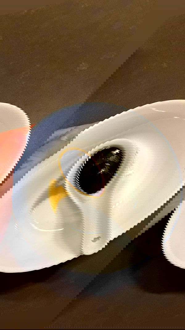 iambohema.v2 iambohema.v2 archive image