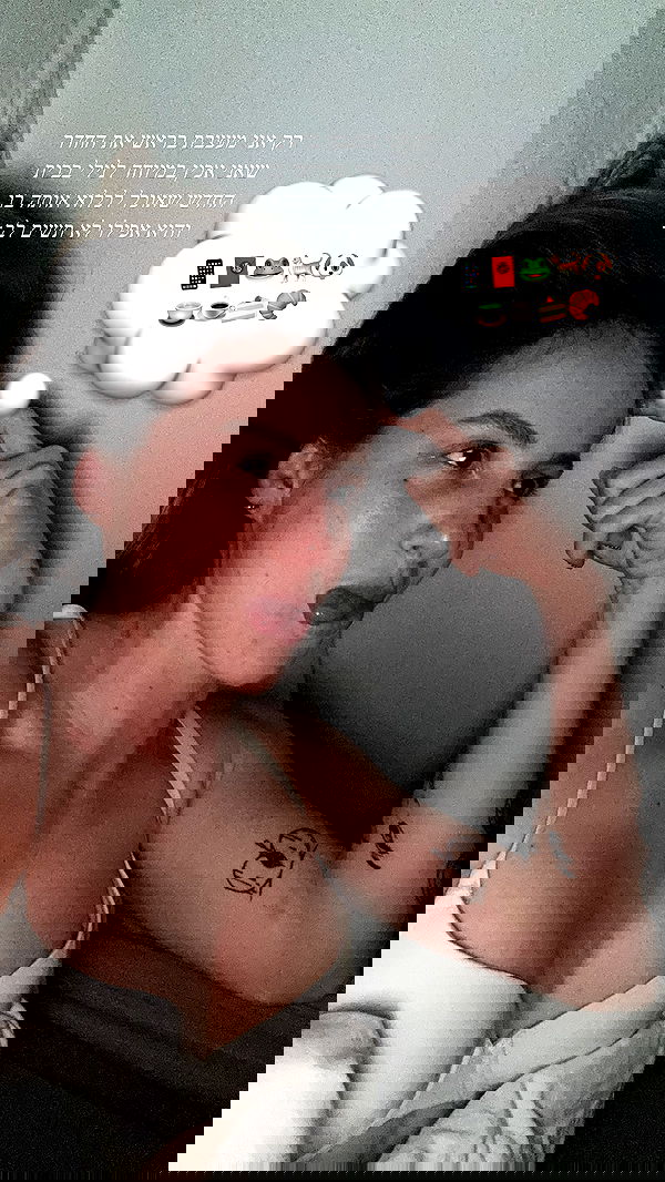 iambohema.v2 iambohema.v2 archive image