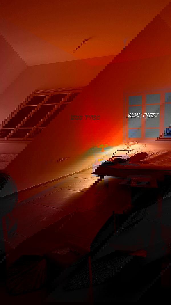 iambohema.v2 iambohema.v2 archive image