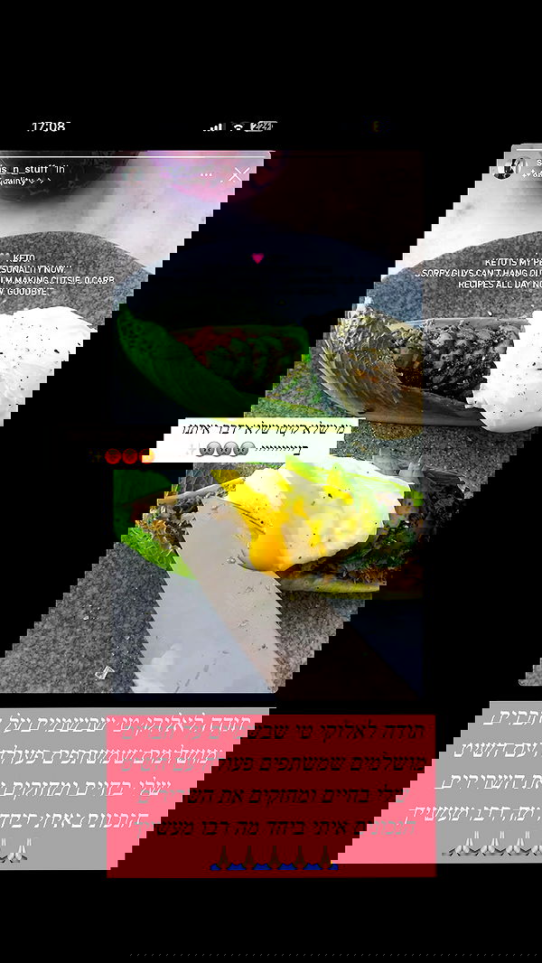 iambohema.v2 iambohema.v2 archive image