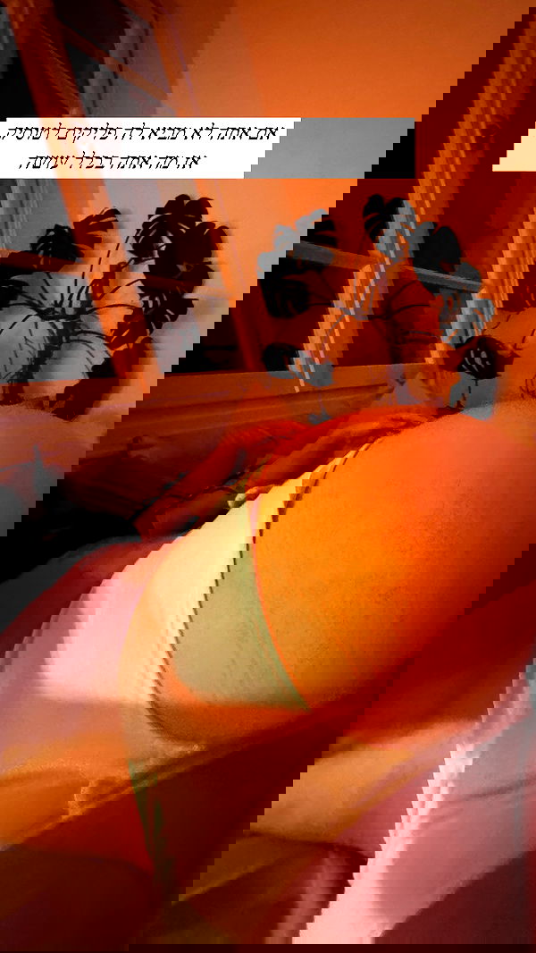 iambohema.v2 iambohema.v2 archive image