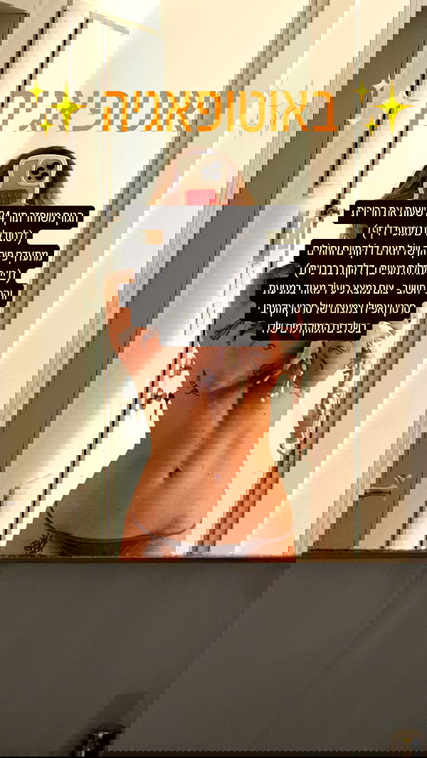 iambohema.v2 iambohema.v2 archive image