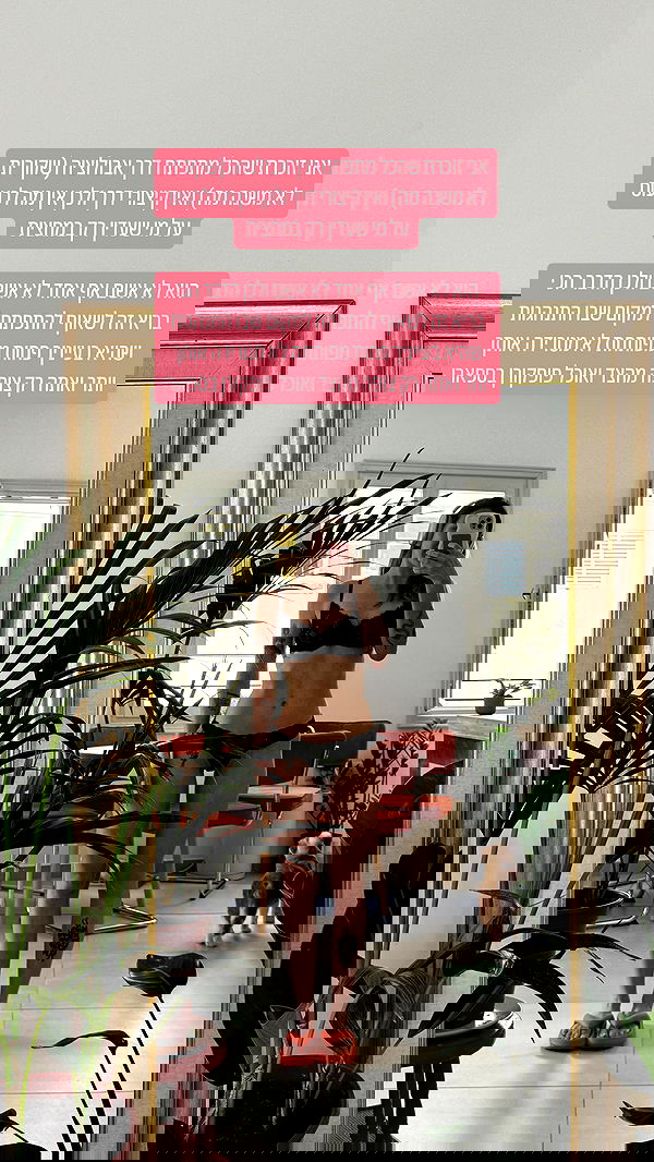 iambohema.v2 iambohema.v2 archive image